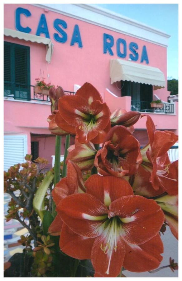 Hotel Casa Rosa Sea & Spa Sant'Angelo  Exterior foto
